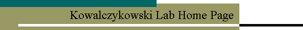 Kowalczykowski Lab Home Page